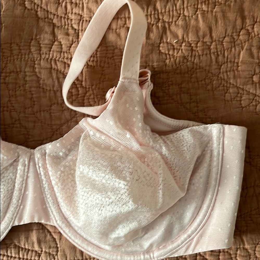 Wacoal Back Appeal® Underwire Bra- Rose Dust 855303 - Picture 8 of 10
